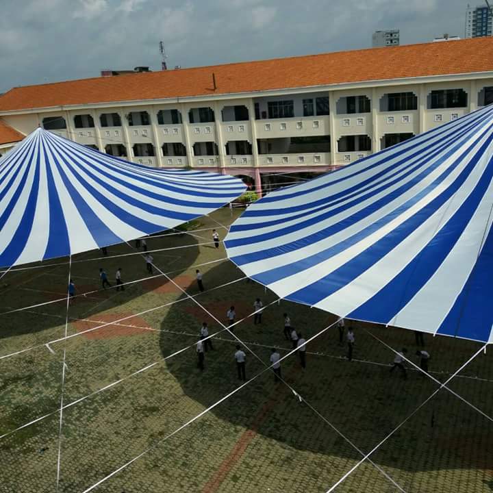 cho thuê dù sự kiện