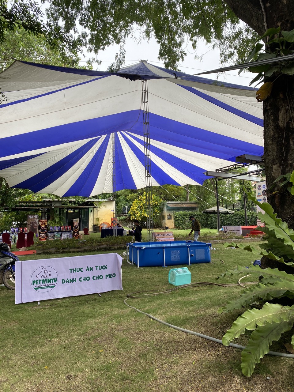 cho thuê dù sự kiện