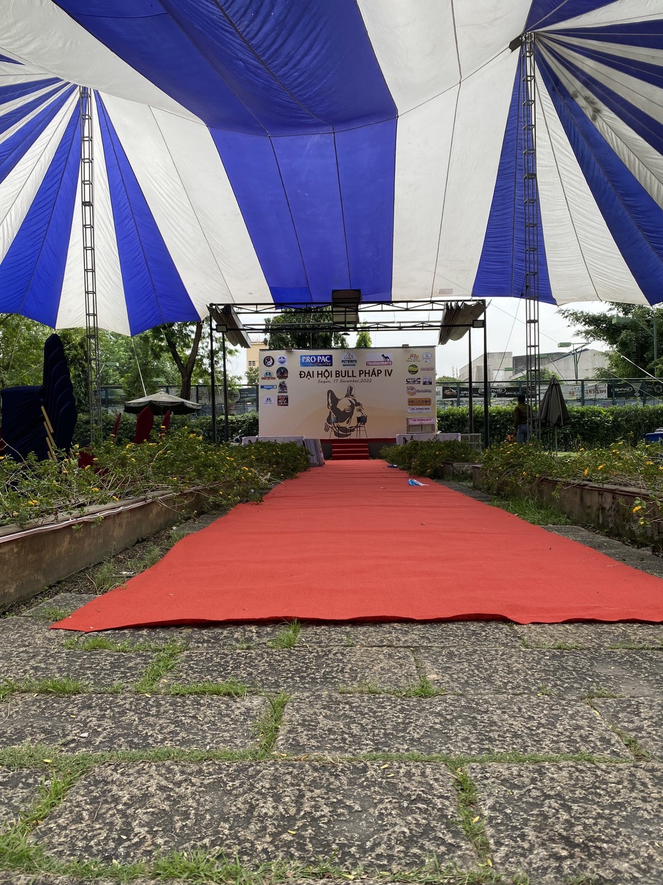 cho thuê dù sự kiện