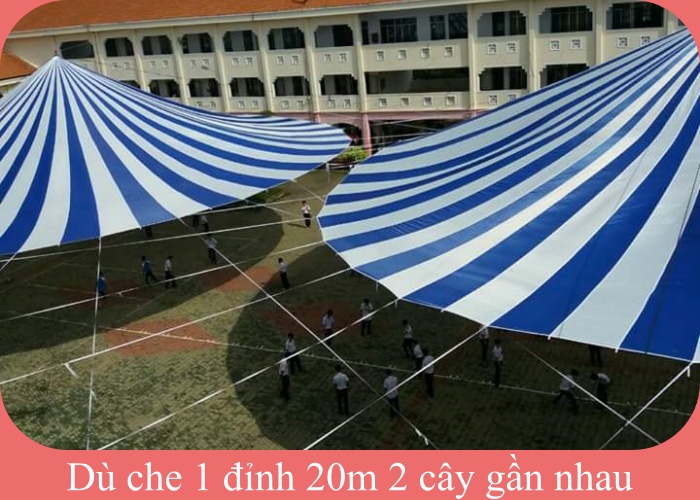 cho thuê dù sự kiện