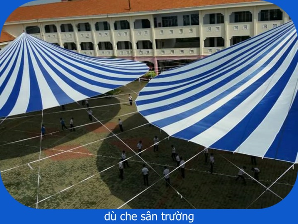 dù che sân trường