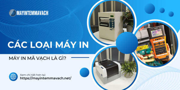 Các loại máy in mã vạch là gì? Các loại máy in mã vạch là gì?