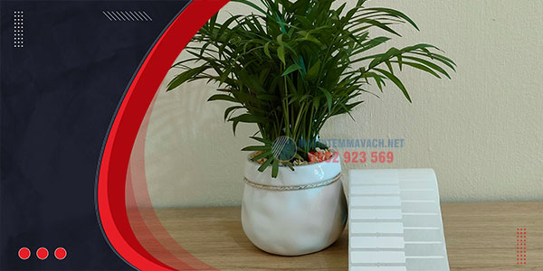 Tem trang sức tiệm vàng Tem trang sức tiệm vàng