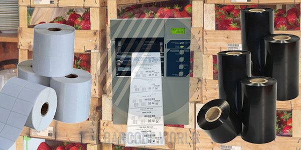 In tem nhãn PTI  In tem nhãn PTI