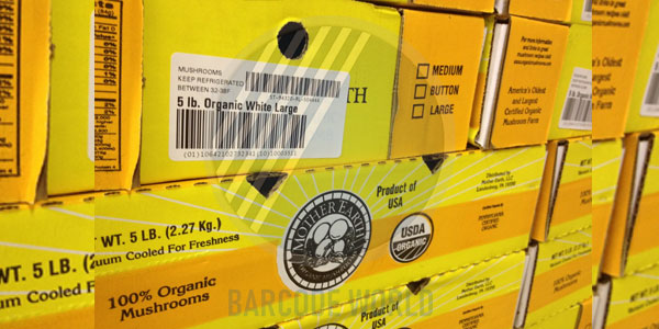 Tem nhãn PTI là gì?  Tem nhãn PTI là gì?