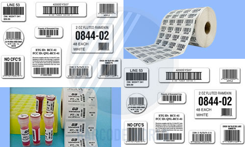 Đặc điểm tem số nhảy Đặc điểm tem số nhảy