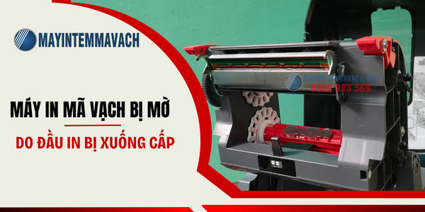 Máy in mã vạch bị mờ do đầu in bị xuống cấp Máy in mã vạch bị mờ do đầu in bị xuống cấp