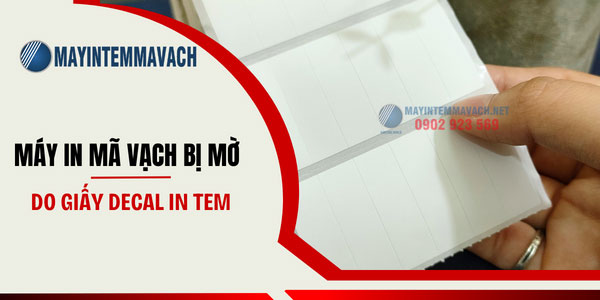 Máy in mã vạch bị mờ do giấy decal in tem Máy in mã vạch bị mờ do giấy decal in tem
