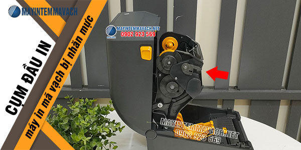 Máy in mã vạch bị nhăn mực do cụm đầu in Máy in mã vạch bị nhăn mực do cụm đầu in