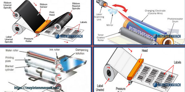 Máy in mã vạch và máy in giấy văn phòng khác nhau về công nghệ in Máy in mã vạch và máy in giấy văn phòng khác nhau về công nghệ in