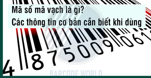 MÃ SỐ MÃ VẠCH LÀ GÌ? CÁC THÔNG TIN CƠ BẢN CẦN BIẾT KHI DÙNG
