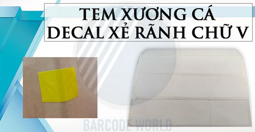 ĐIỀU CẦN BIẾT VỀ TEM XƯƠNG CÁ HAY DECAL XẺ RÃNH CHỮ V