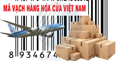 MÃ VẠCH HÀNG HÓA CỦA VIỆT NAM LÀ BAO NHIÊU? CÁCH KIỂM TRA