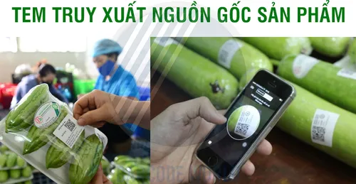 TEM TRUY XUẤT NGUỒN GỐC LÀ GÌ? CHỨC NĂNG VÀ CÁCH DÙNG HIỆU QUẢ