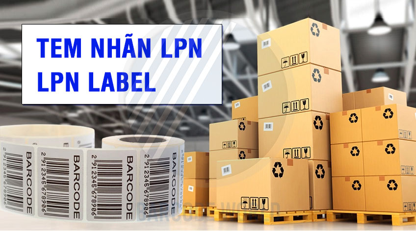 Tem nhãn LPN là gì? Những điều cần biết về LPN label