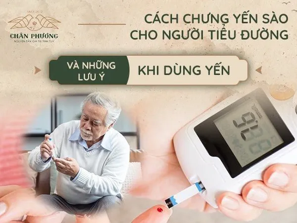 Cách chưng yến sào cho người tiểu đường và những lưu ý khi dùng yến