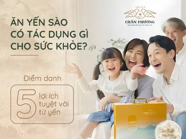 Ăn yến sào có tác dụng gì cho sức khỏe? Điểm danh 5 lợi ích tuyệt vời từ yến