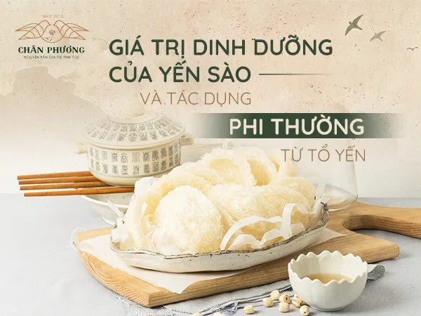 Giá trị dinh dưỡng của yến sào và tác dụng phi thường từ tổ yến