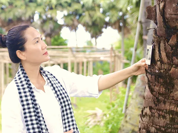 Hành Trình “Cổ Tích” Làm Nên Yến Sào Mật Hoa Thốt Nốt Chân Phương – Từ Giọt Mật Tươi Đến Sản Phẩm OCOP An Giang