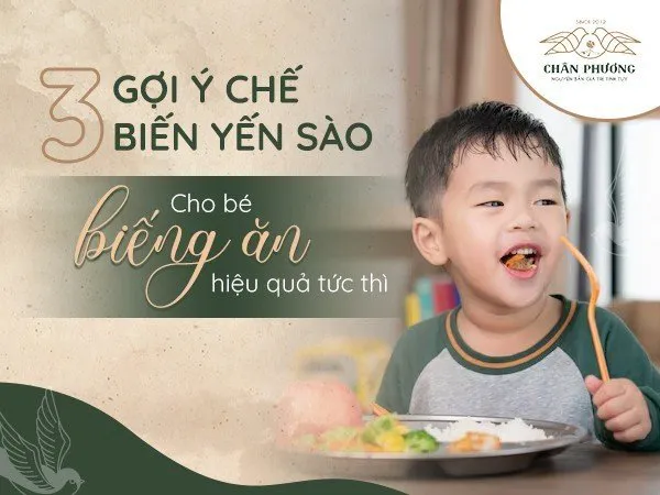 3 gợi ý chế biến yến sào cho bé biếng ăn hiệu quả tức thì