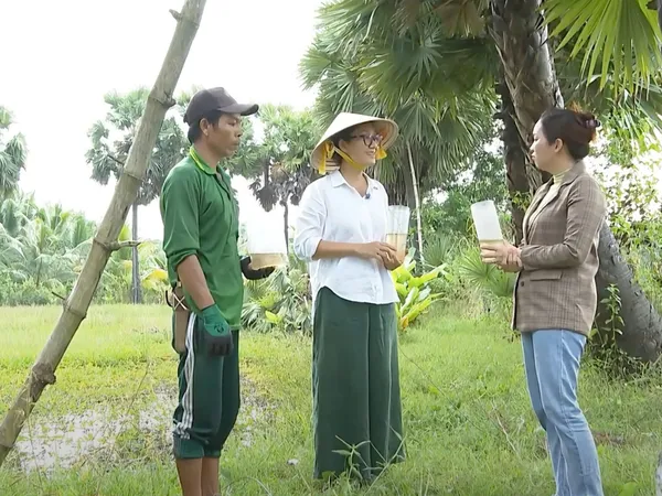 Chân Phương Yến sào & Mật Thốt Nốt - Một phần sức sống mới Tịnh Biên.