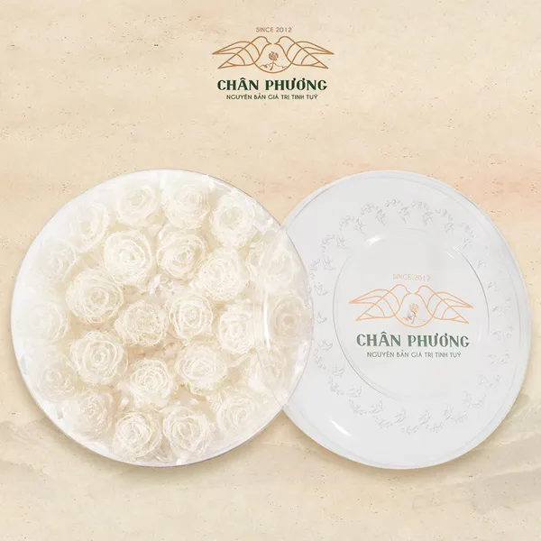 Tổ yến rút lông nguyên chất định lượng (100 gram)