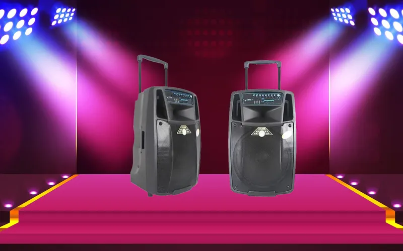 Cho thuê loa kéo Temeisheng 4 tấc