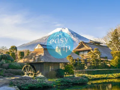 THE UNIQUE JAPAN