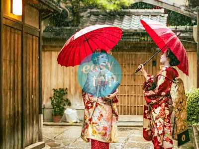 THE UNIQUE JAPAN