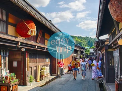 THE UNIQUE JAPAN