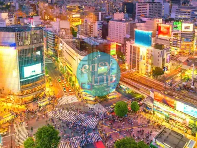 THE UNIQUE JAPAN