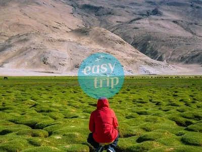 LADAKH - INCREDIBLE LAND IN SUMMER