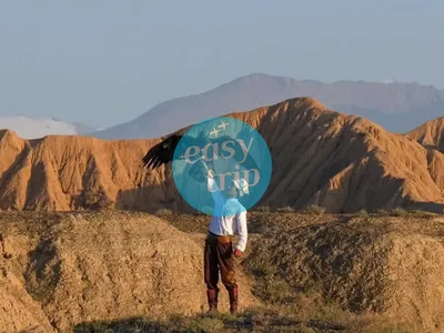 JOURNAL OF NOMADS
