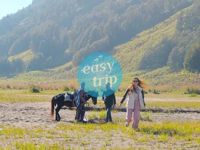 GORGEOUS EAST JAVA