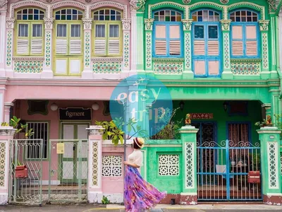 FUTURISTIC WORLD IN SING - MALAY