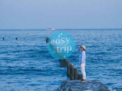 THANH ĐẢO - TẾ NAM: LAM HẢI TUYỀN THÀNH