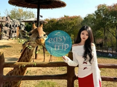 THANH ĐẢO - TẾ NAM: LAM HẢI TUYỀN THÀNH