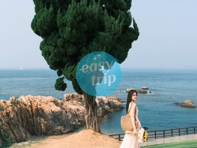 THANH ĐẢO - TẾ NAM: LAM HẢI TUYỀN THÀNH