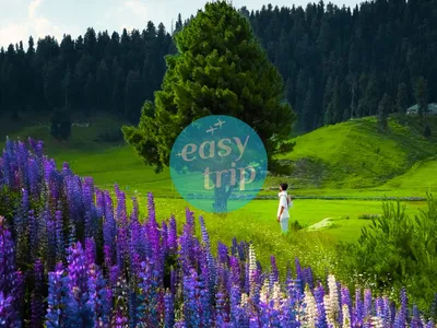 KASHMIR - SUMMER PARADISE