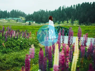 KASHMIR - SUMMER PARADISE