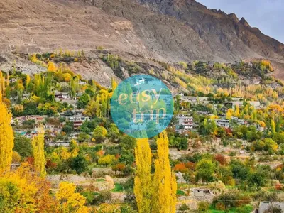 GOLDEN PAKISTAN