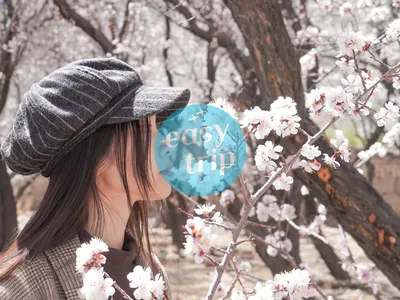 LADAKH - INCREDIBLE LAND IN SPRING