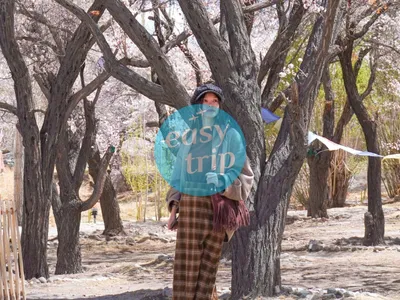 LADAKH - INCREDIBLE LAND IN SPRING
