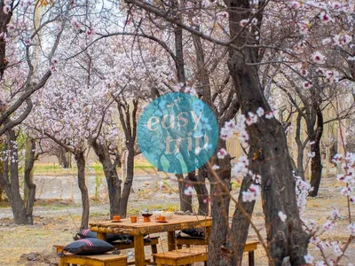 LADAKH - INCREDIBLE LAND IN SPRING
