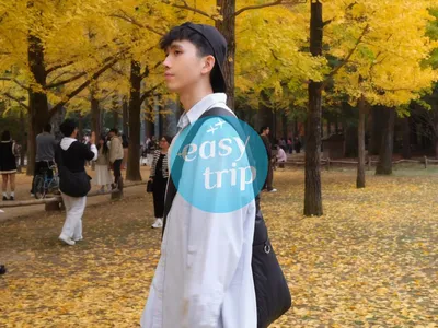 HALLYU IN THE K-FALL
