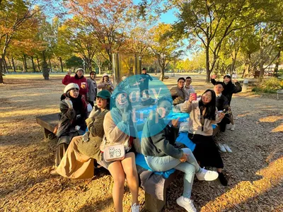 HALLYU IN THE K-FALL