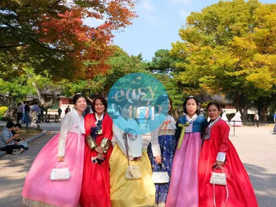 HALLYU IN THE K-FALL