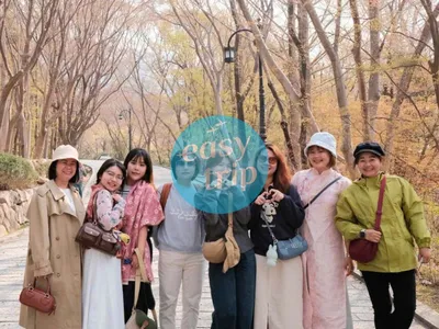 HALLYU IN THE K-FALL