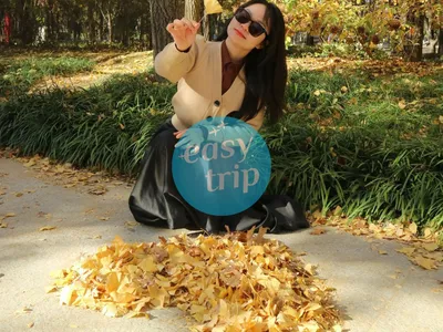 HALLYU IN THE K-FALL