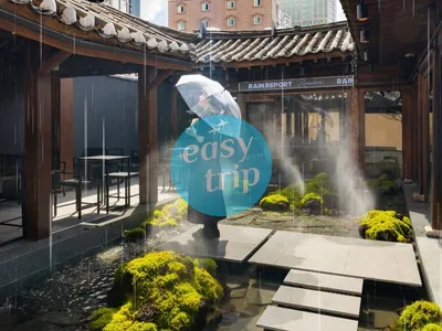 HÀN QUỐC - MÙA HÈ 2026